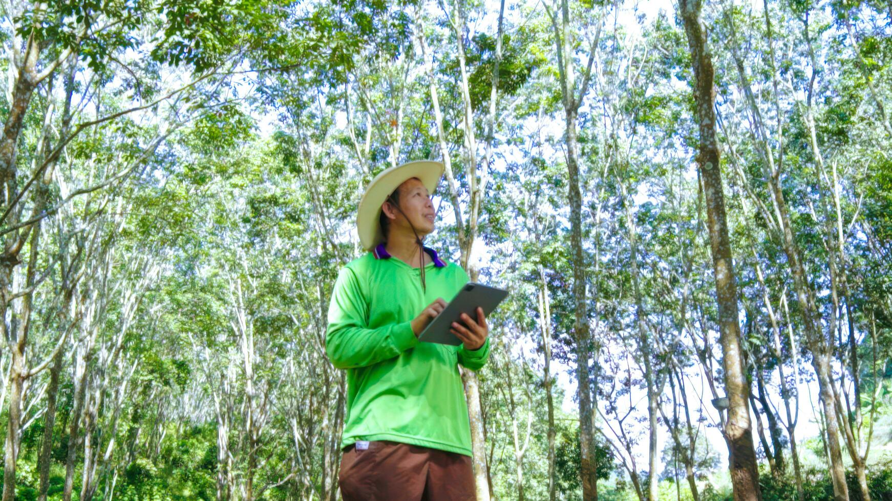 Asian rubber farmer  checking quality of rubber liquid by tablet technology  from  rubber plantation ,technology agricultural rubber product Concept. photo