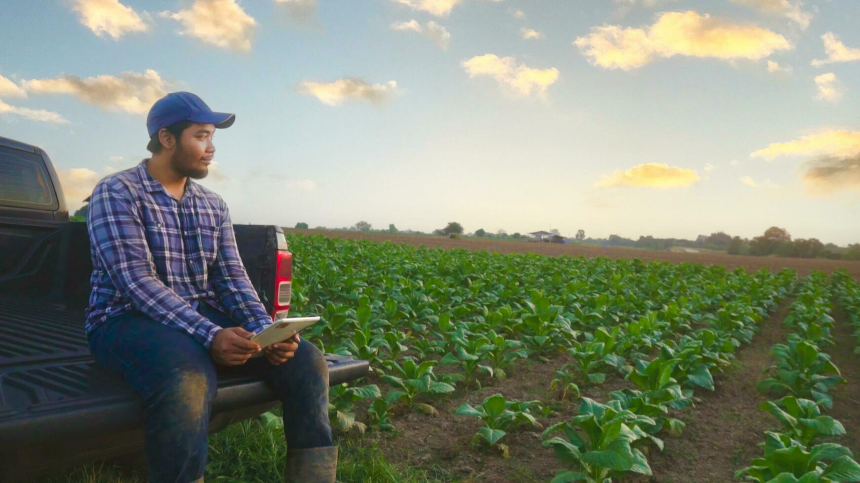 asiático joven agricultores y tabaco agricultor utilizar el núcleo datos red en el Internet desde el tableta a validar, prueba en un tabaco campo. foto