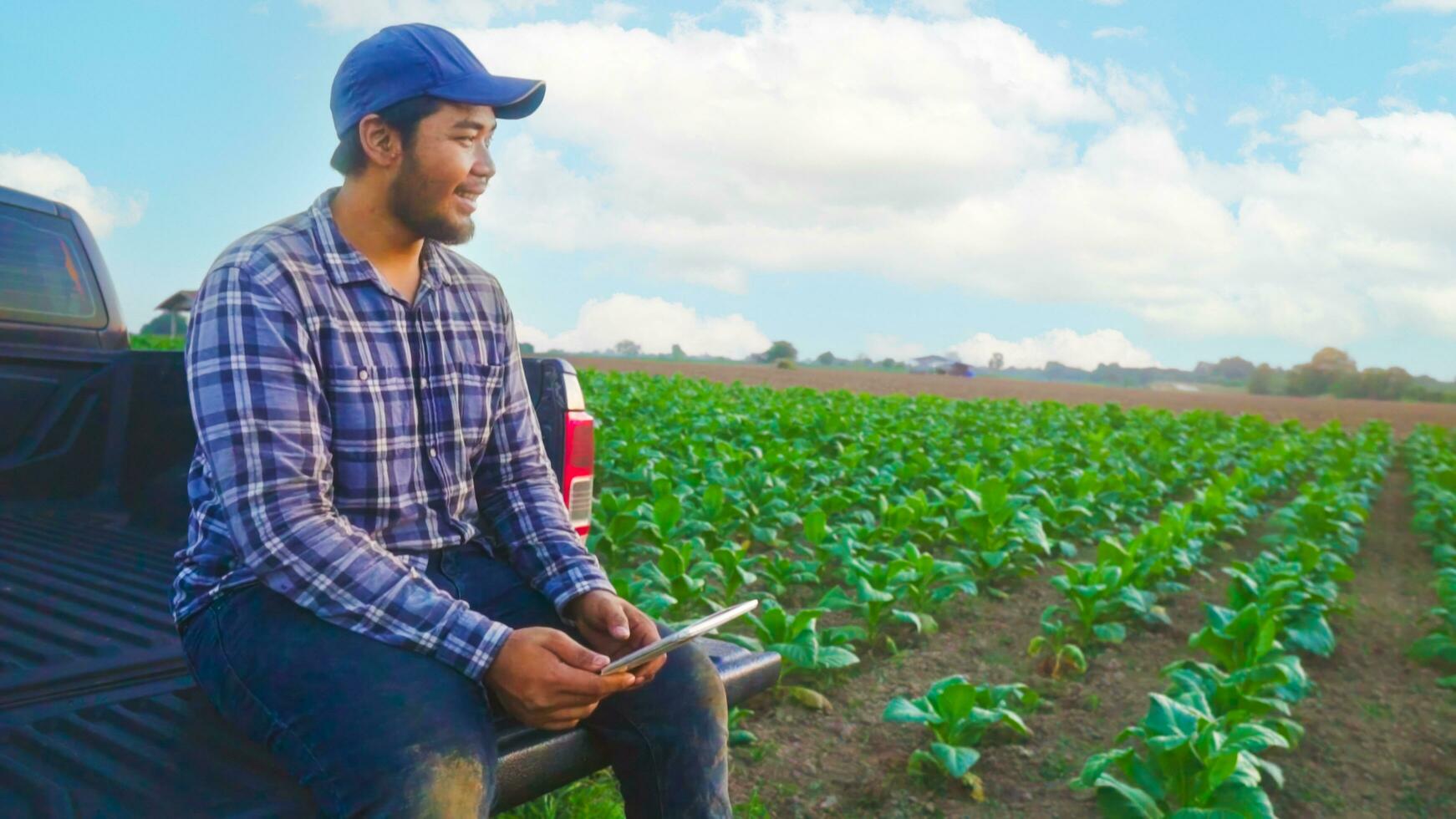 asiático joven agricultores y tabaco agricultor utilizar el núcleo datos red en el Internet desde el tableta a validar, prueba en un tabaco campo. foto