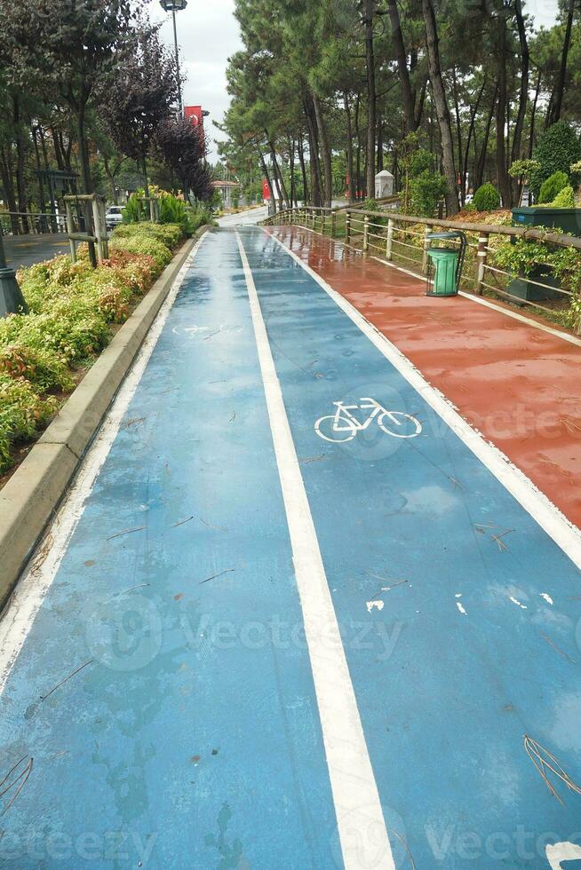 Bicycle symbol on the blue road surface photo