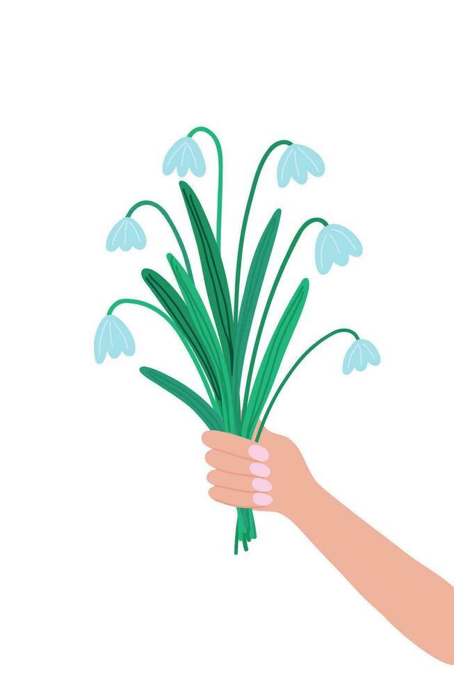Bouquet of blue snowdrops held by a woman's hand on a white background. First flowers, spring, for print, banners, postcards, design elements. Vector. vector