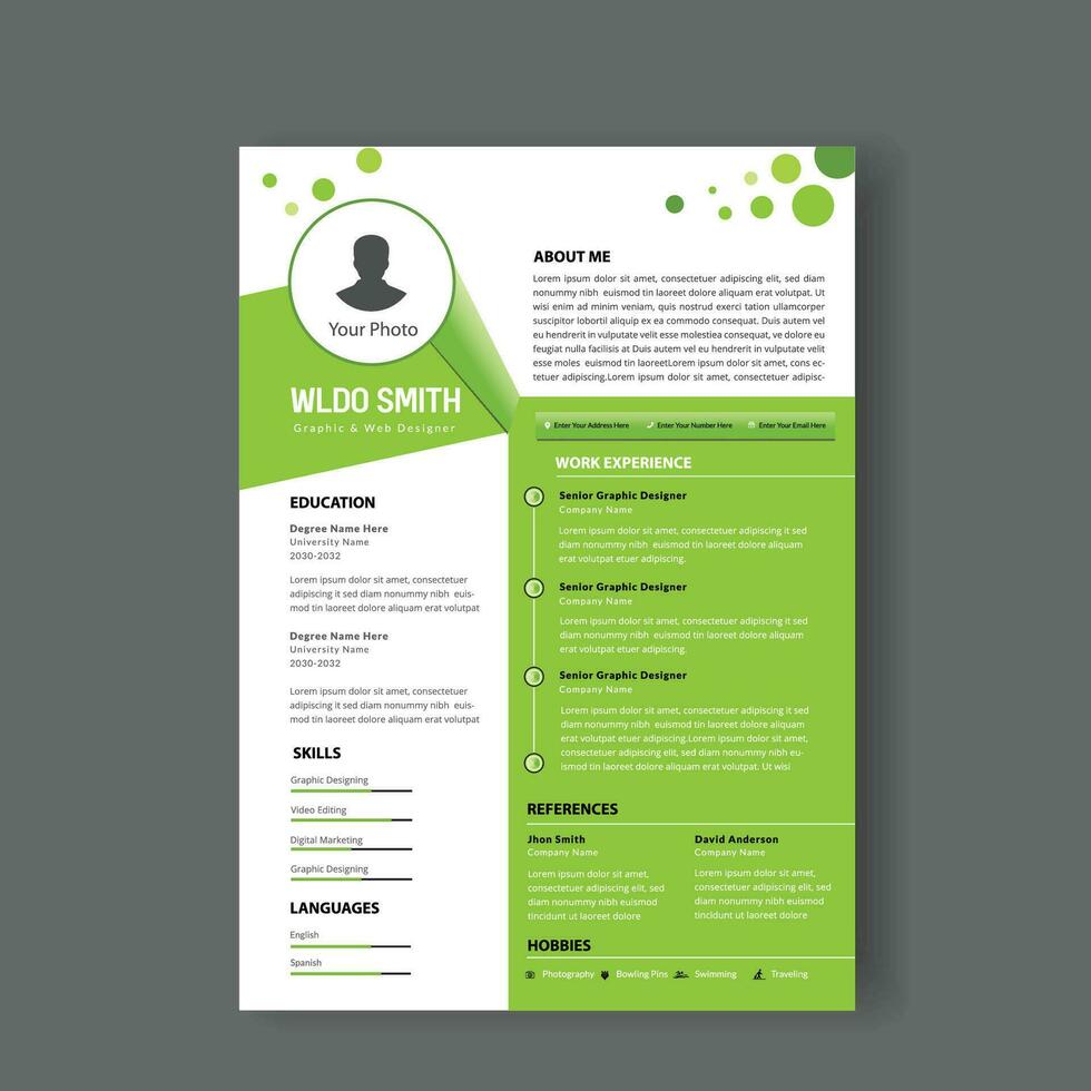 Professional Cv or resume template vector