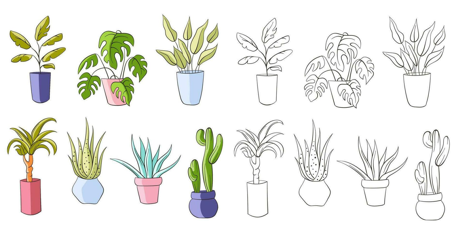 House plants in pot collection in stroke style. Line art, outline, colorful set. Vector illustration isolated on a white background.