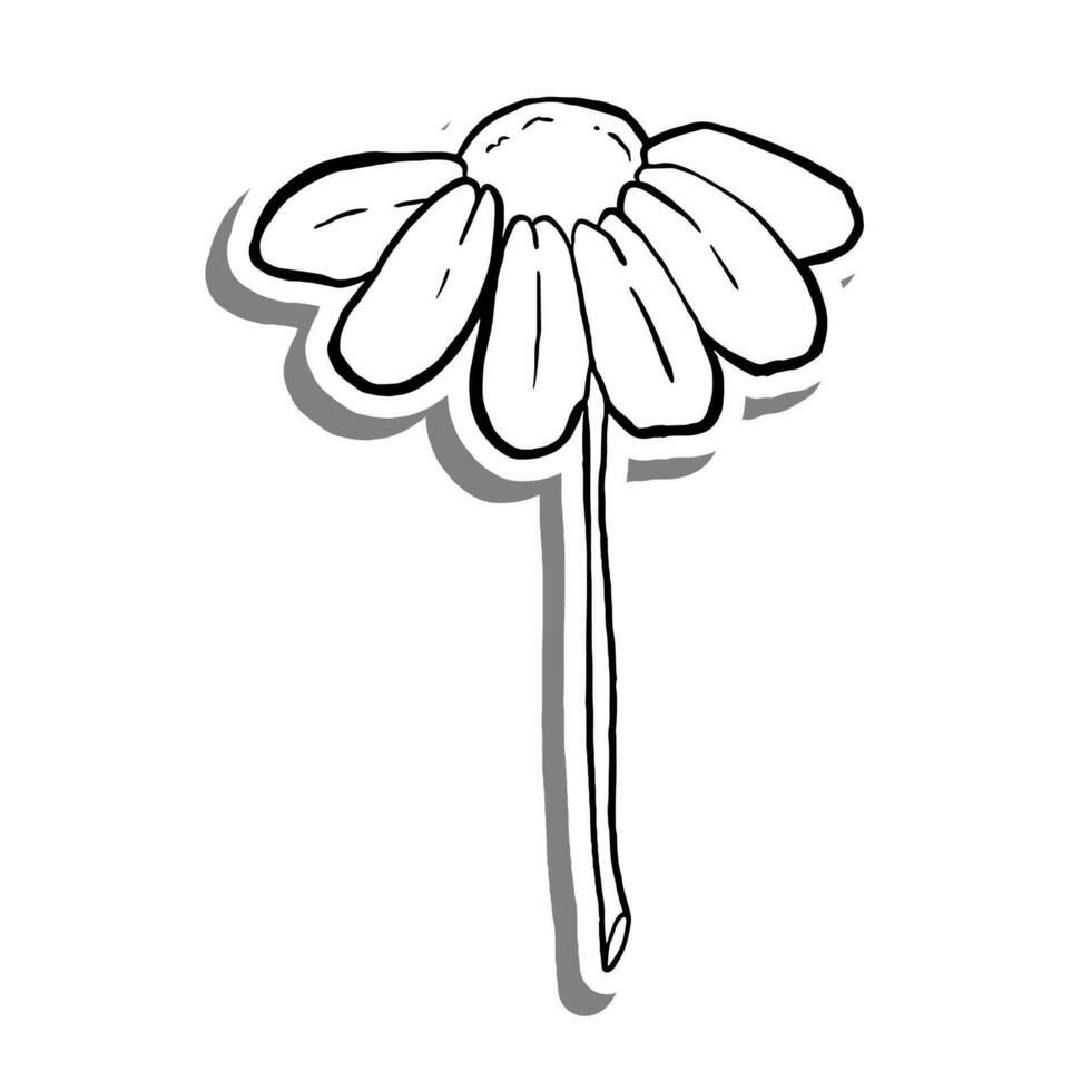 Black line One half Daisy Flower Bloom on white silhouette and gray shadow. Hand drawn cartoon style. Vector illustration for decorate, coloring and any design.