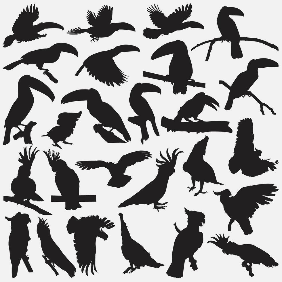 toucan cockatoos silhouette set vector