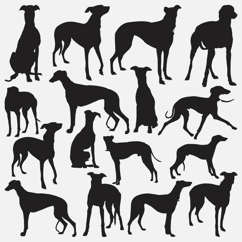 grey hound silhouette set vector