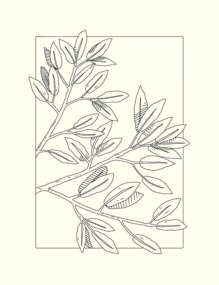 Botanical line art illustration, hand drawn with minimalist frame vector