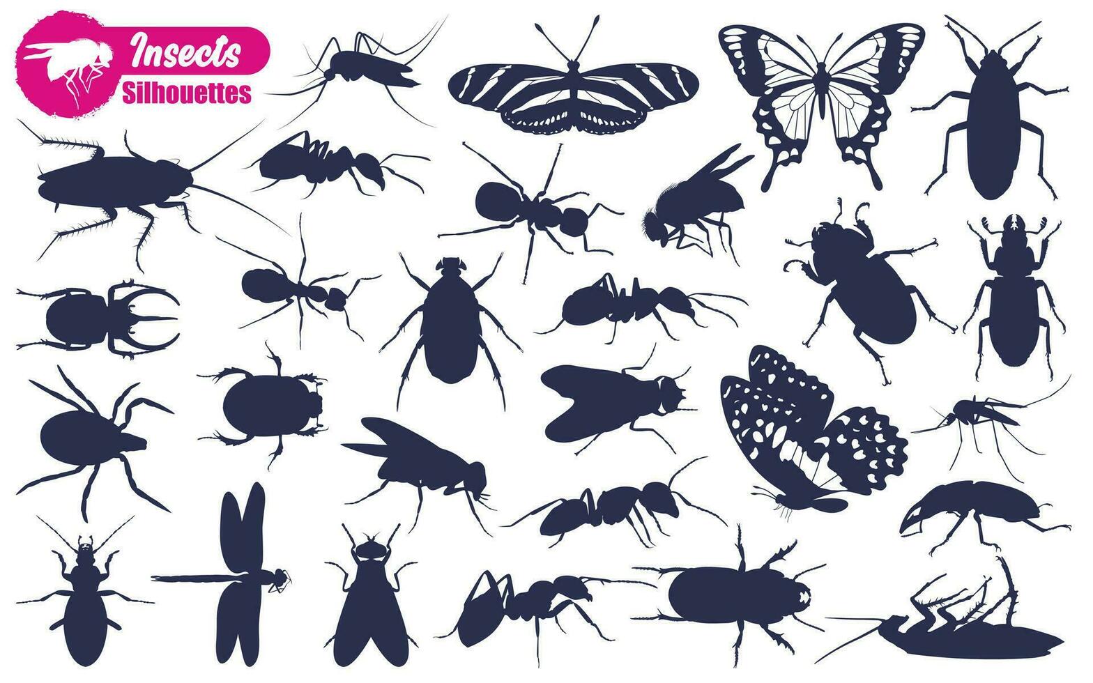 diferente tipos de insecto siluetas vector
