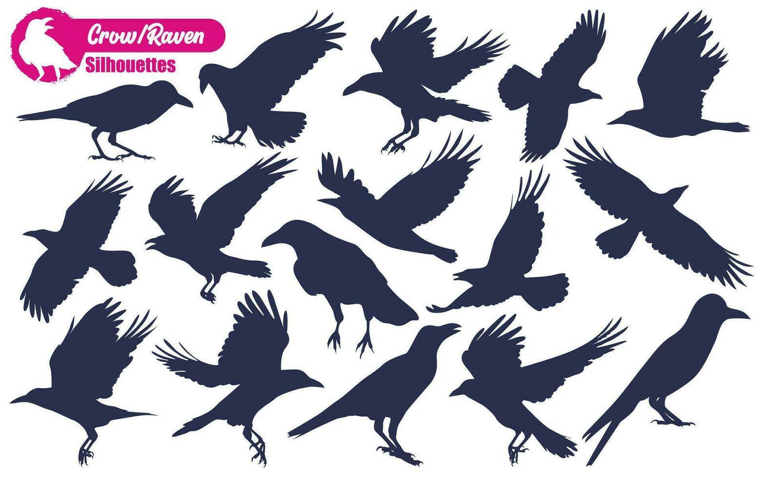 Flying Crow or Raven Silhouettes vector
