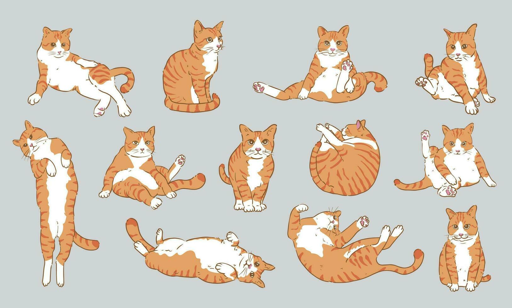 linda dibujos animados naranja gato conjunto, gato personaje diseño con plano colores en varios poses vector