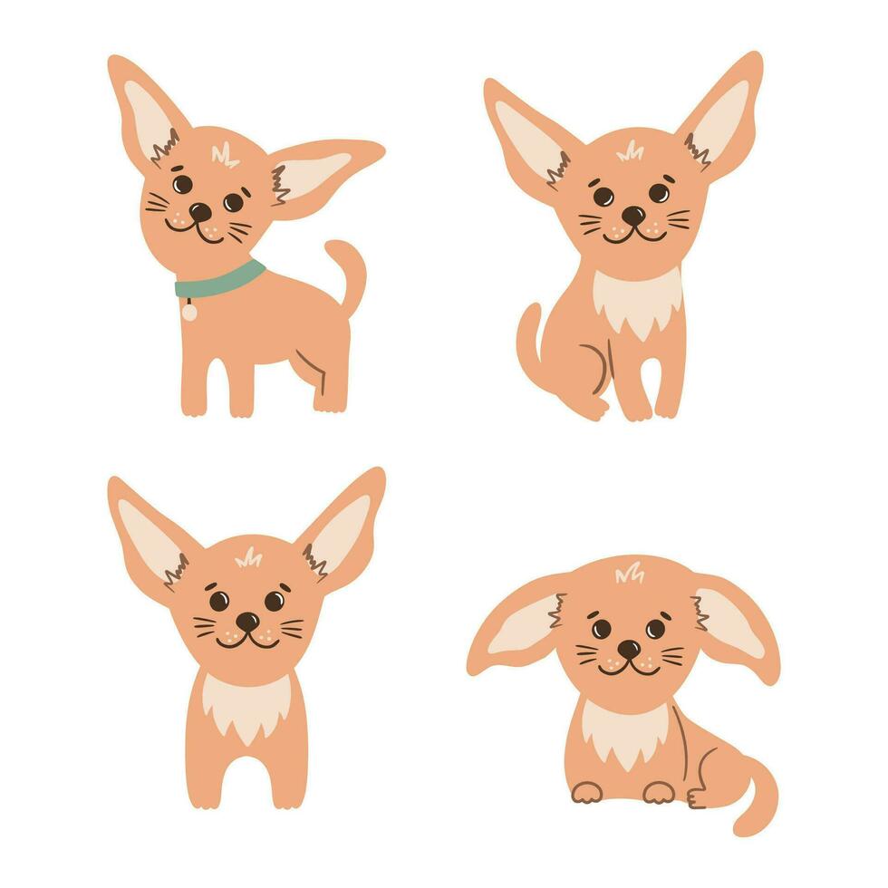 Chihuahua cute dogs in different poses. vector