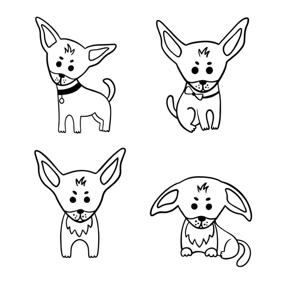 Chihuahua cute dogs in different poses. vector