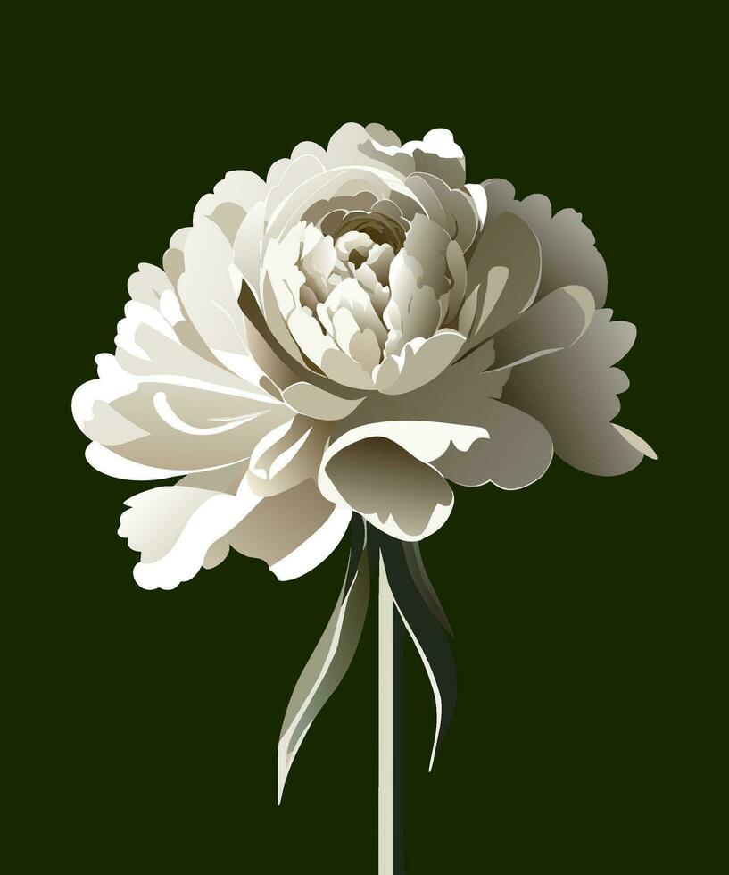 blanco clavel flor vector