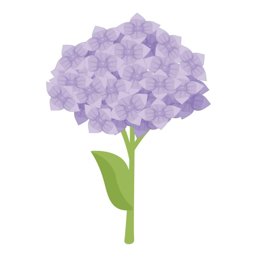 floral hortensia icono dibujos animados vector. pétalo planta hoja vector