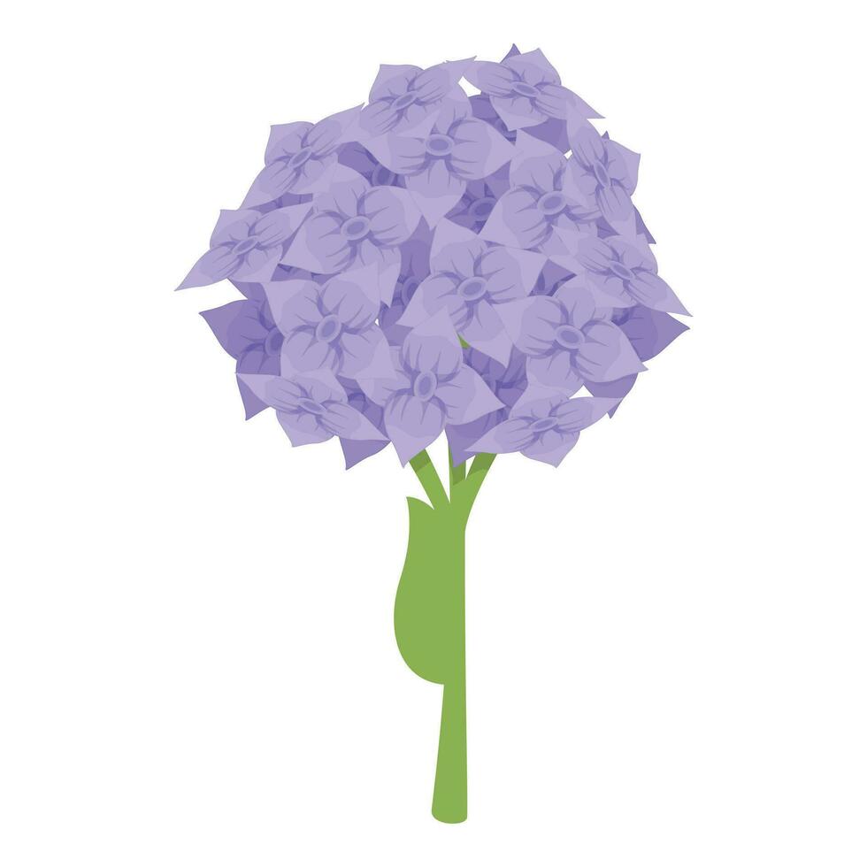 primavera hortensia icono dibujos animados vector. flor amor floral vector