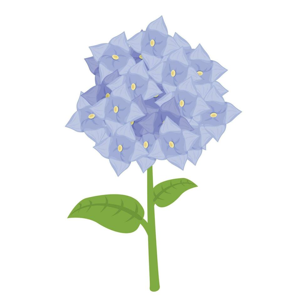 Hydrangea petal icon cartoon vector. Floral blossom vector