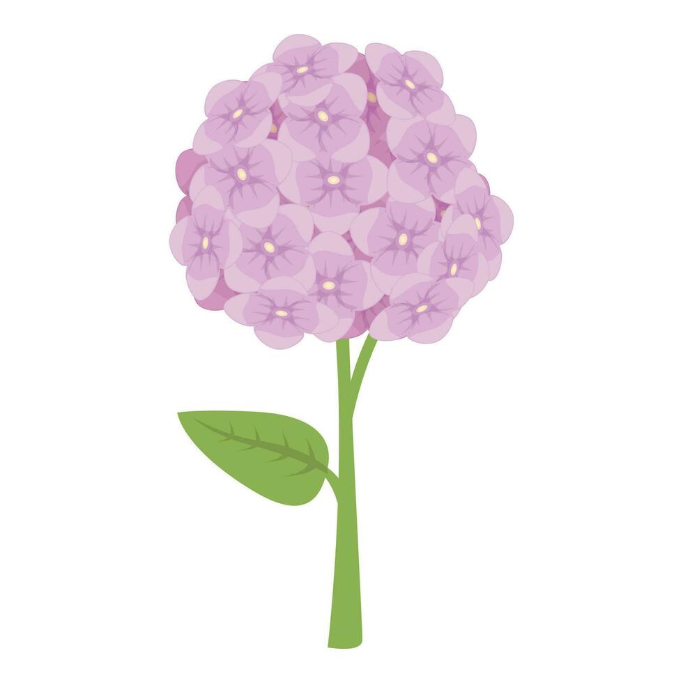 Summer hydrangea icon cartoon vector. Blossom plant vector