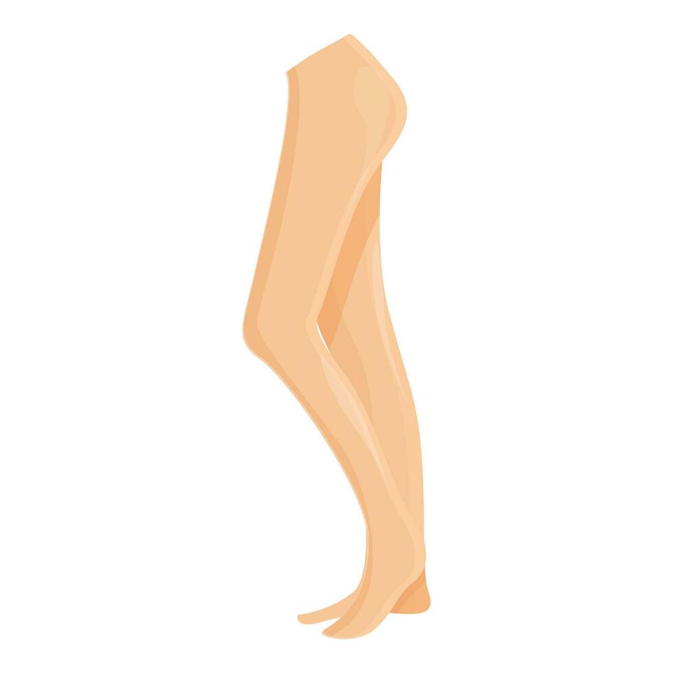 Art twerk legs icon cartoon vector. Pantyhose woman vector