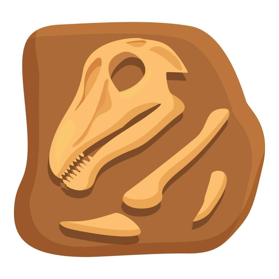 cabeza huesos dinosaurio icono dibujos animados vector. Roca fósil vector