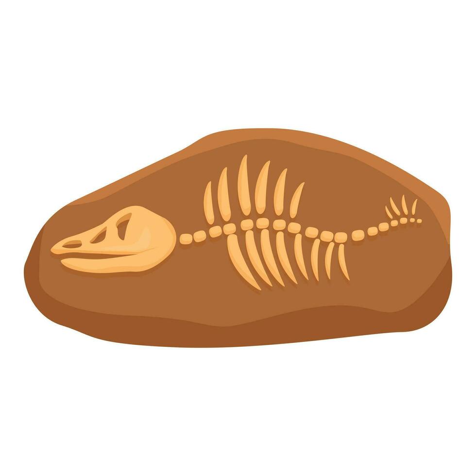 Dinosaur fossil skeleton icon cartoon vector. Land clay vector