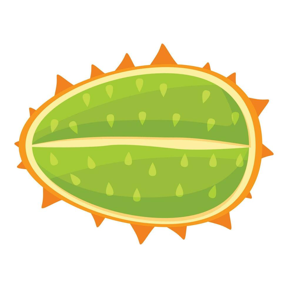 Half fruit peel icon cartoon vector. Eco dessert kiwano vector