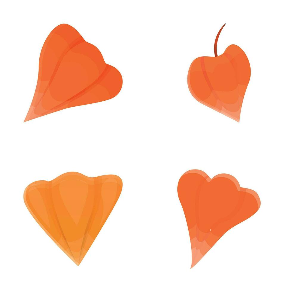 Chomphu fruit icons set cartoon vector. Southeast asian fruit vector