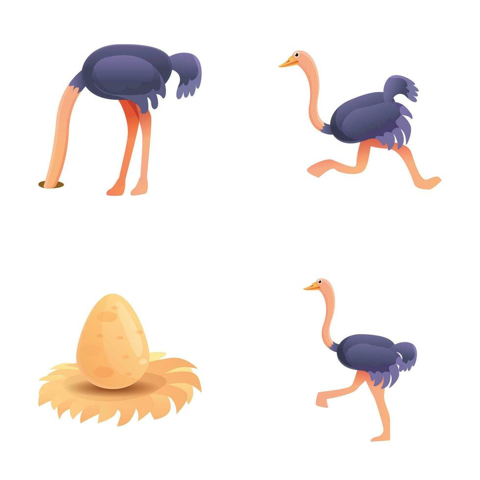 African ostrich icons set cartoon vector. Ostrich bird and big egg vector