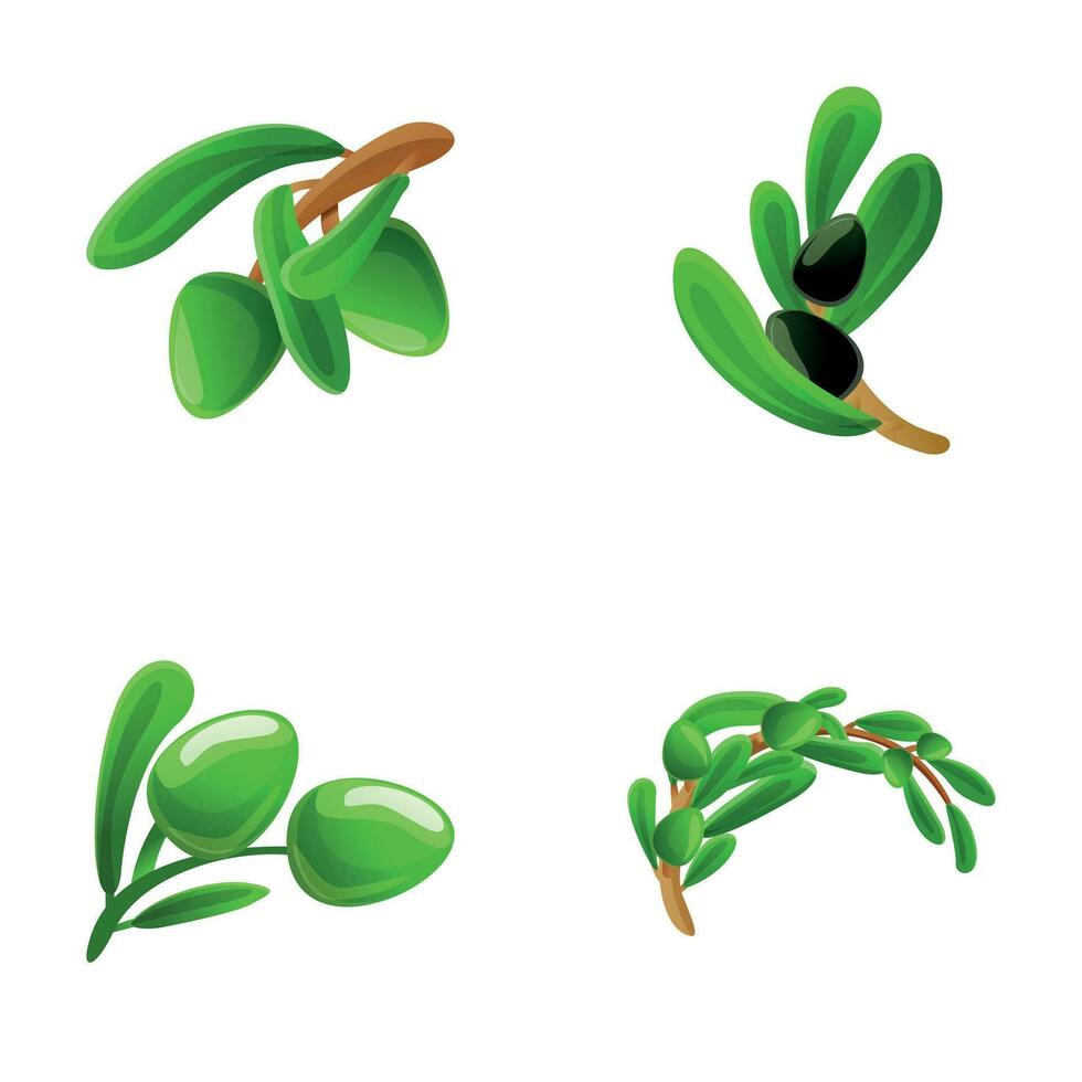 aceituna íconos conjunto dibujos animados vector. verde y negro aceituna en rama vector