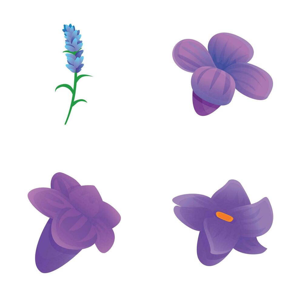 Spring crocus icons set cartoon vector. Bright spring flower vector