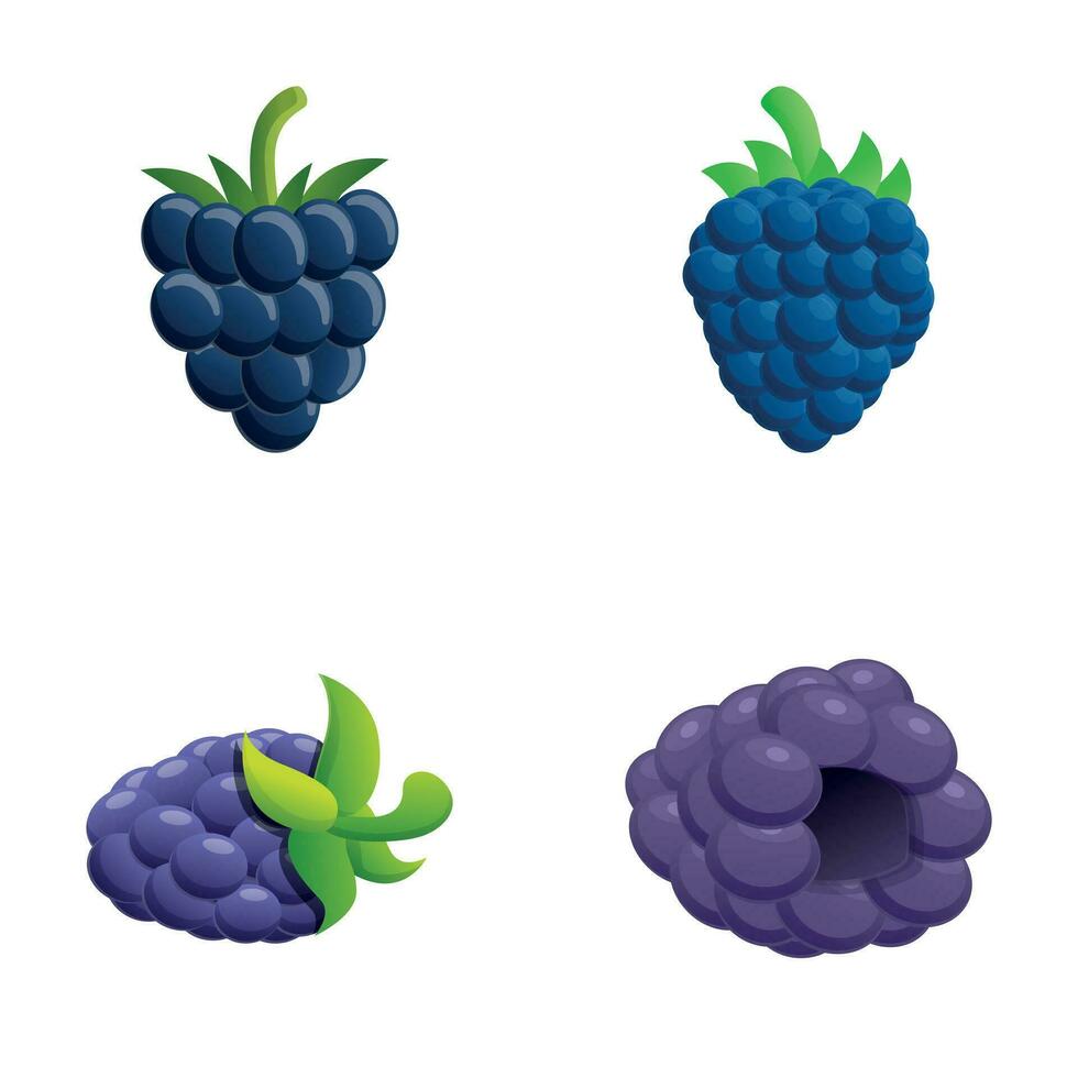 Blackberries icons set cartoon vector. Fresh blackberry fruit with stem vector