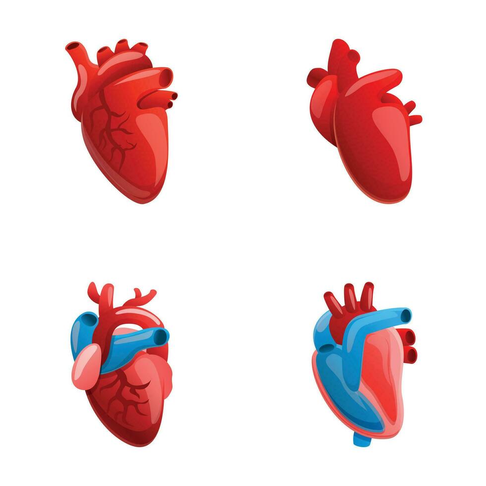 Heart icons set cartoon vector. Human heart with venous system vector