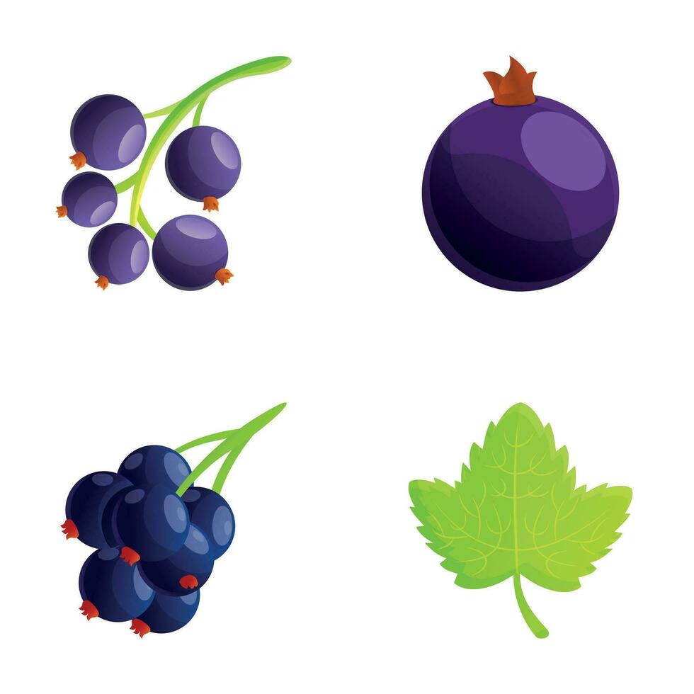 Black currant icons set cartoon vector. Fresh currant berry vector