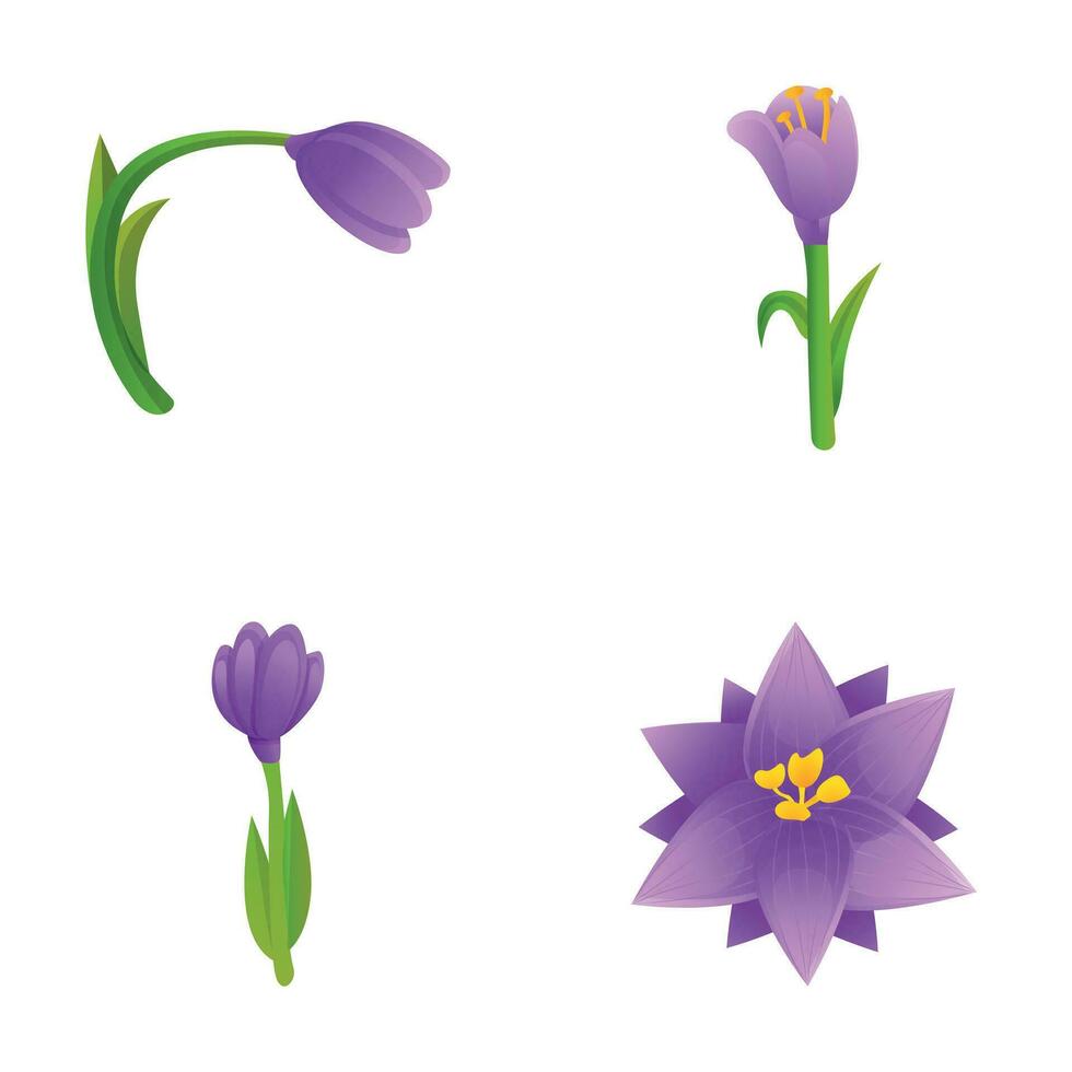 Crocus flower icons set cartoon vector. Bright spring flower vector