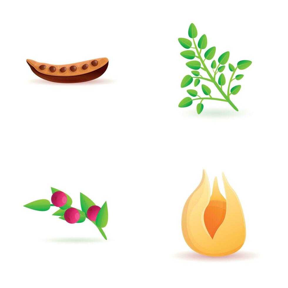 Tropic fruit icons set cartoon vector. Carob fruit acai berry and physalis vector