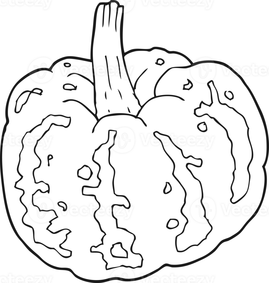 black and white cartoon squash png