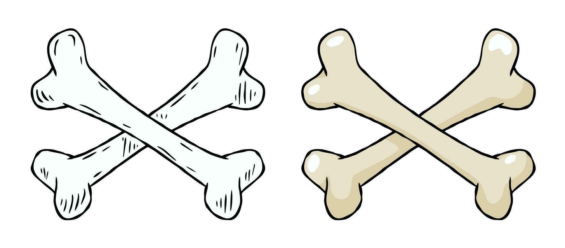 Set of bones. Part of the human skeleton. White dog Toy. Vector Cartoon and flat illustration