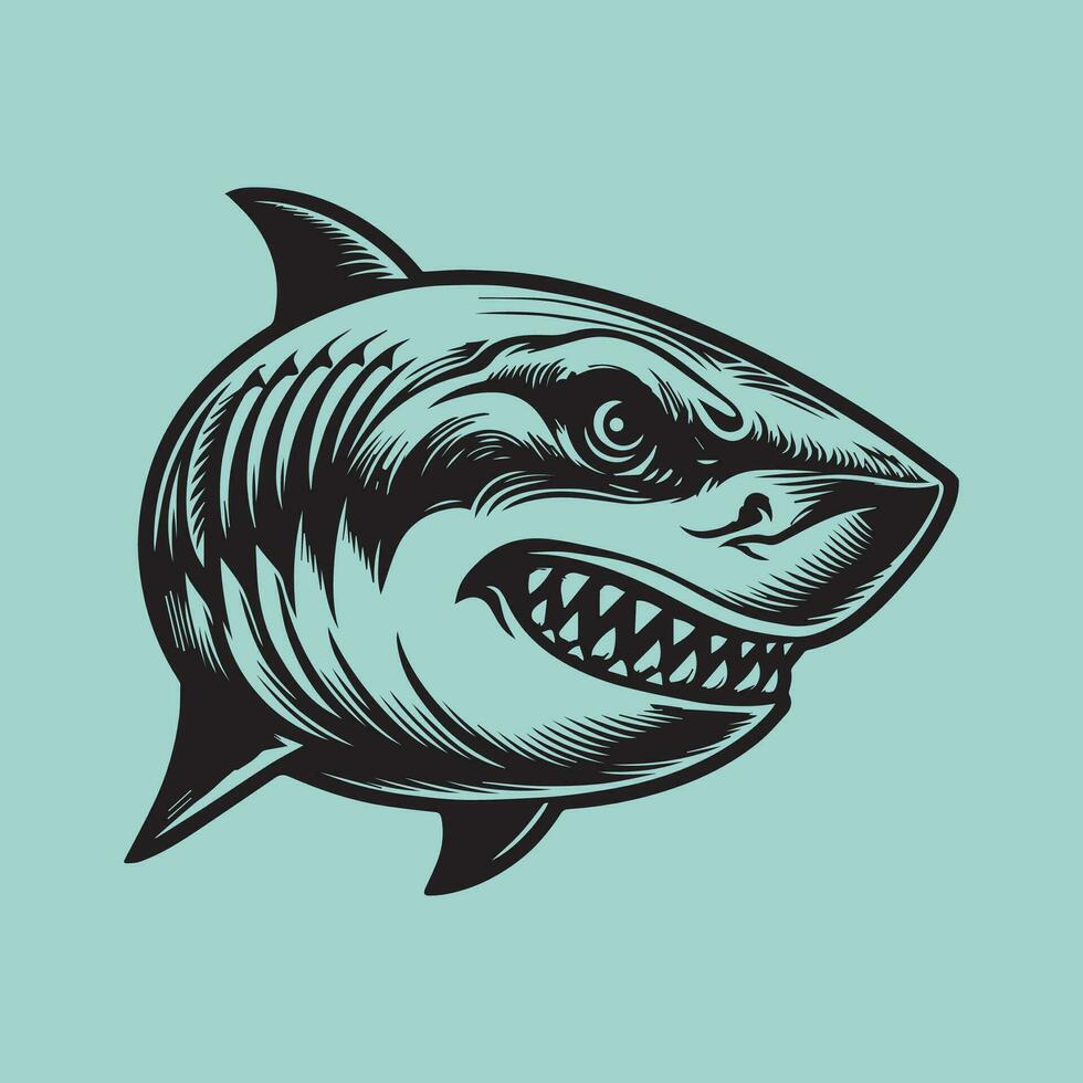 tiburón cabeza. vector ilustración de un tiburón cabeza en Clásico estilo.