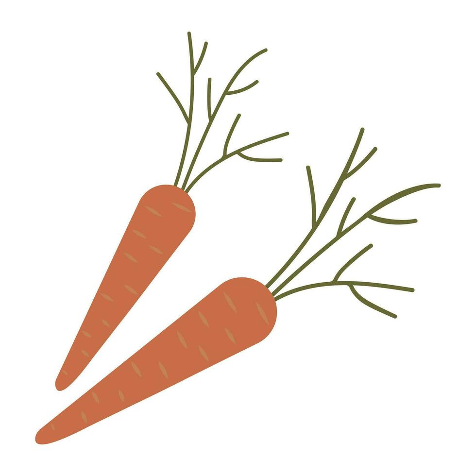 Carrot vegetable fresh icon, vector illustration design, graphic flat style