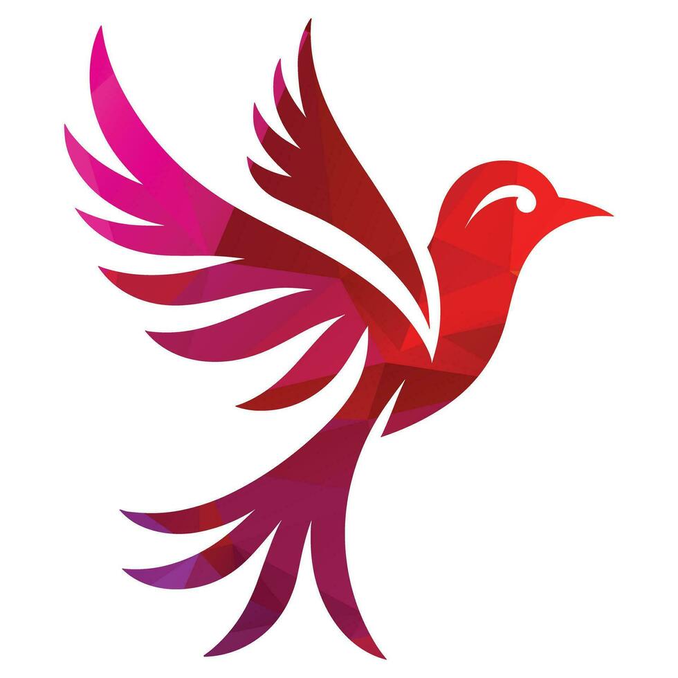 Bird Logo Design Vector Illustration