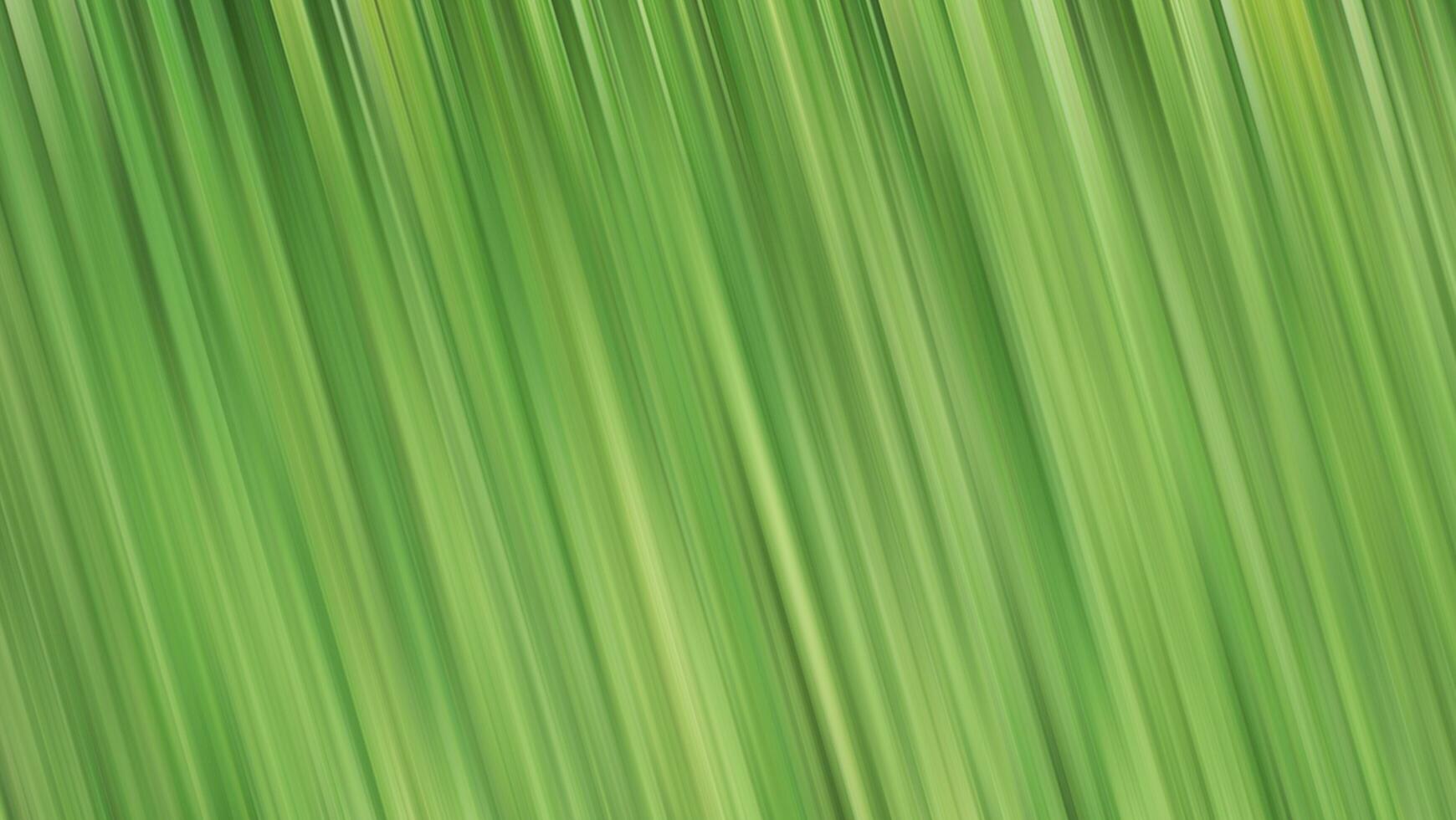green abstract background with blurred lines photo