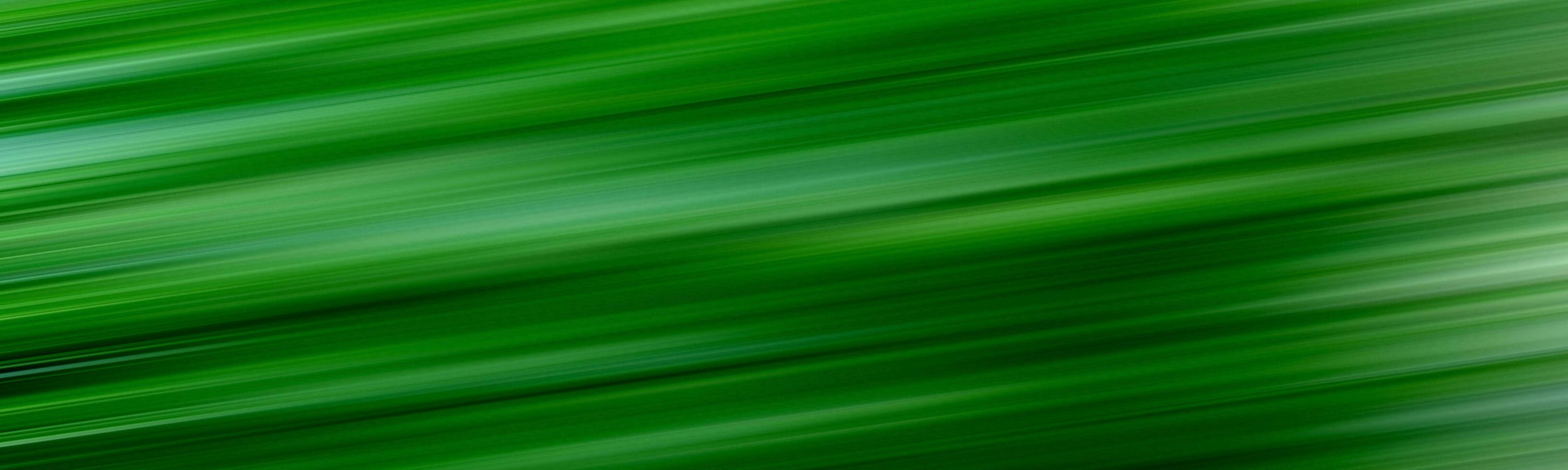 green motion blur background - stock photo