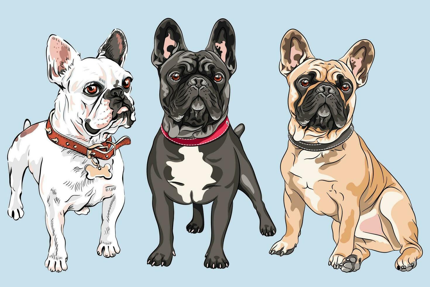 vector conjunto francés buldog perros