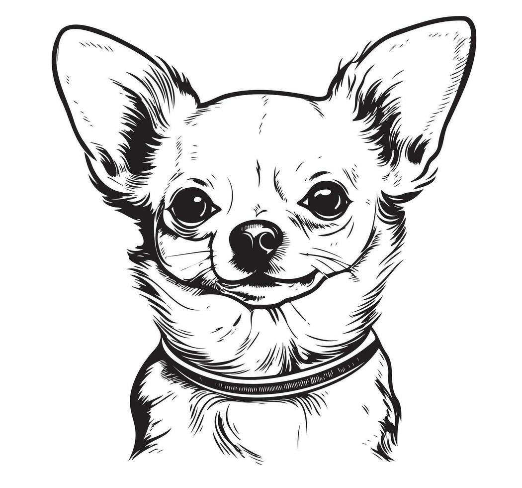 Chihuahua dog sketch hand drawn Vector illustration