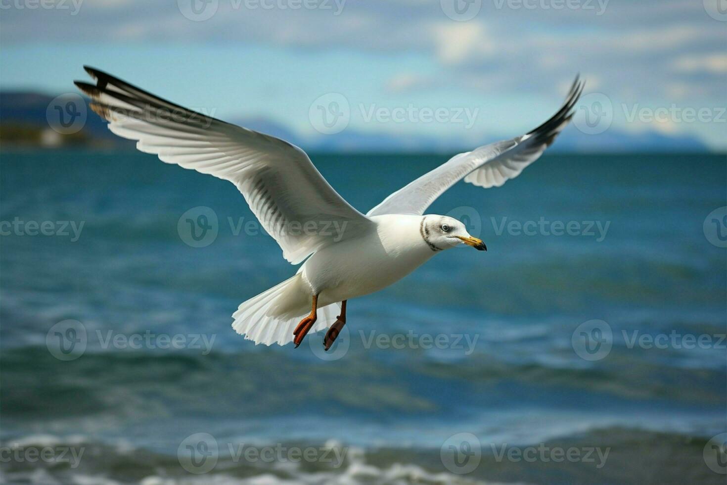 AI generated Seaside journey Seagull in flight against a captivating sea background photo