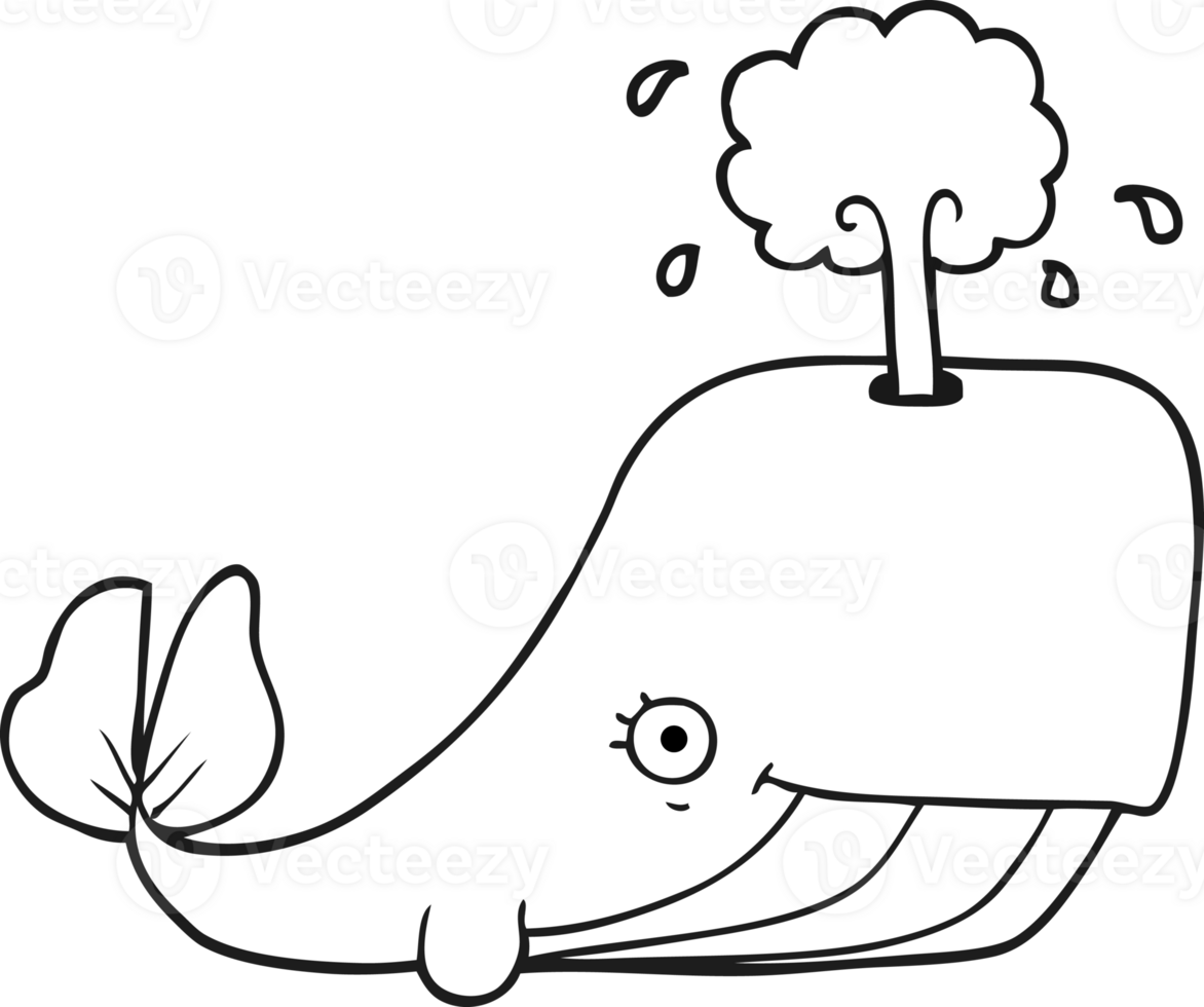 black and white cartoon whale spouting water png