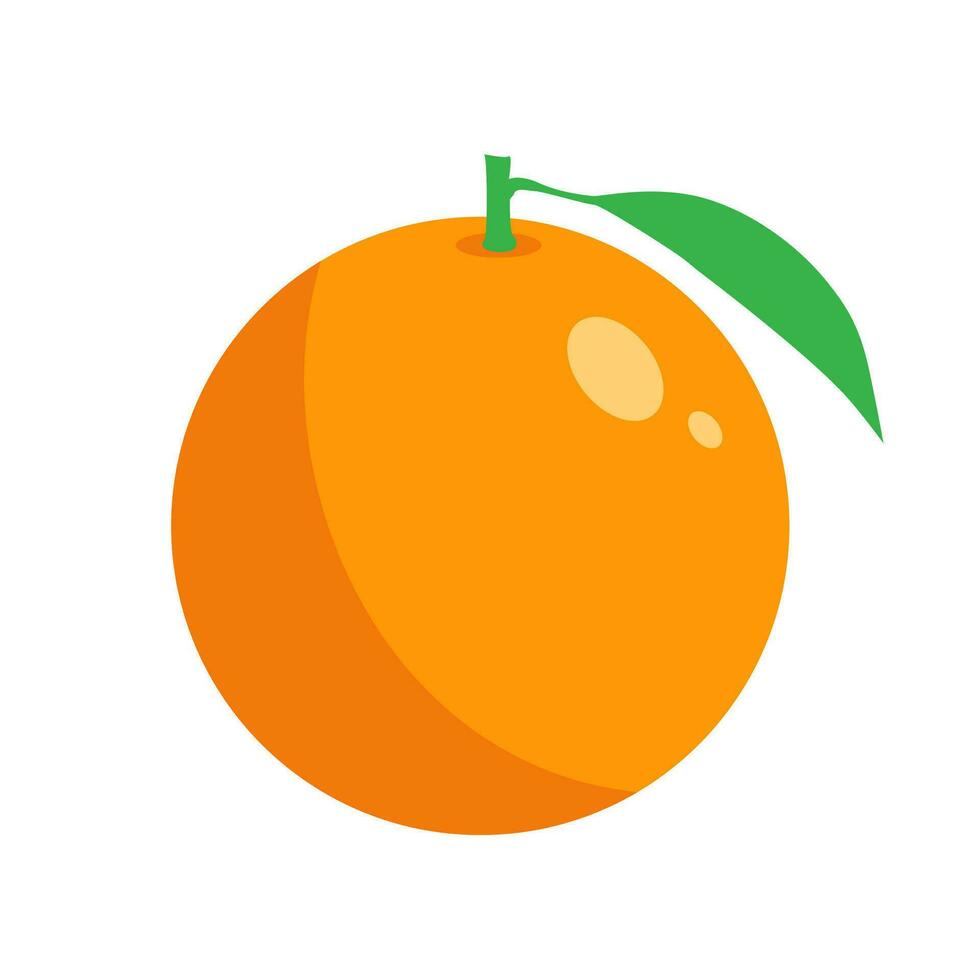 fresh orange with green leaf illustration on a white background. vector