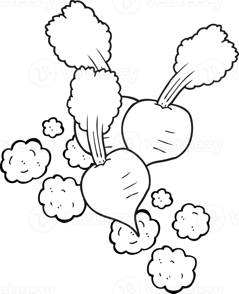 black and white cartoon beetroot png