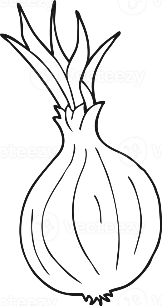 black and white cartoon onion png