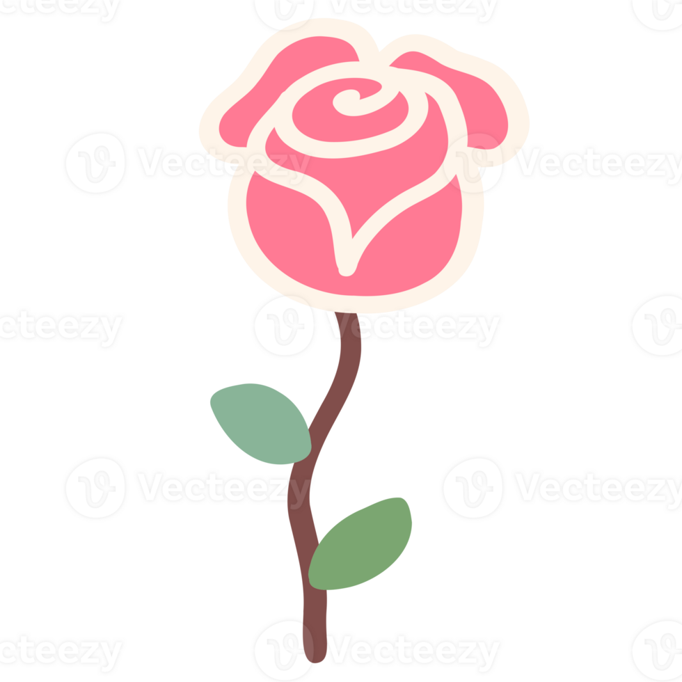 Pink rose flower png