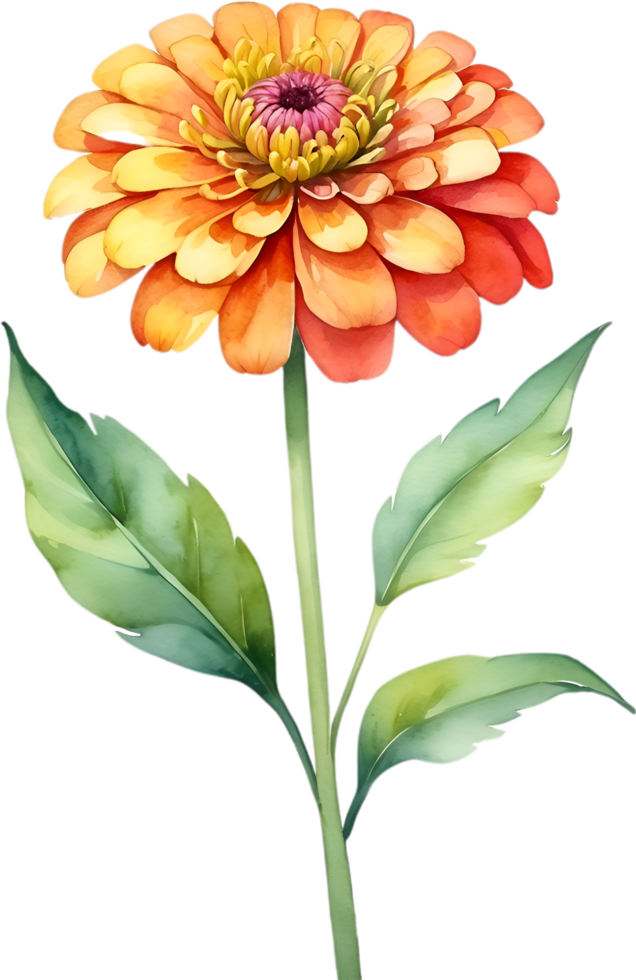 AI generated Watercolor painting of Zinnia flower. Illustration of flowers. AI-Generated. png
